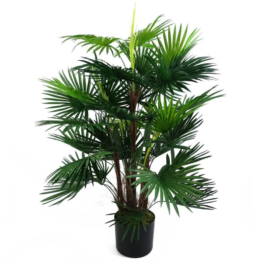 Vital Root product